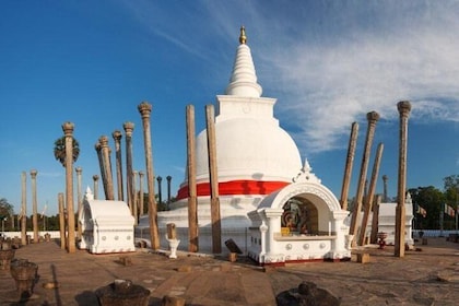 Wilpattu and Anuradhapura from Negombo (2 Days)