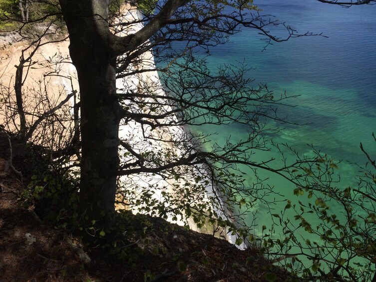 Show item 2 of 9. Copenhagen to Møns Klint Tour