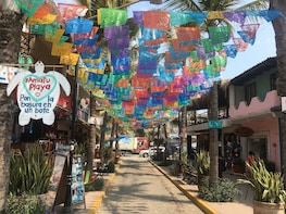 Sayulita & San Pancho Beach Towns from Puerto Vallarta