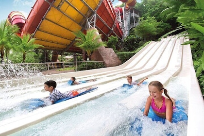 Sunway Lagoon Full Day Admission Tickets Including Transfer
