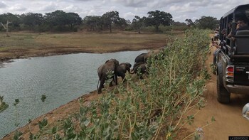 Yala National Park Safari from Bentota (Private Day Tour)