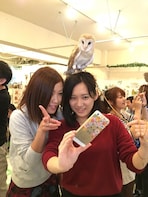 Reservation for Lovely Owl Cafe "Fukuro no Mise" in Osaka