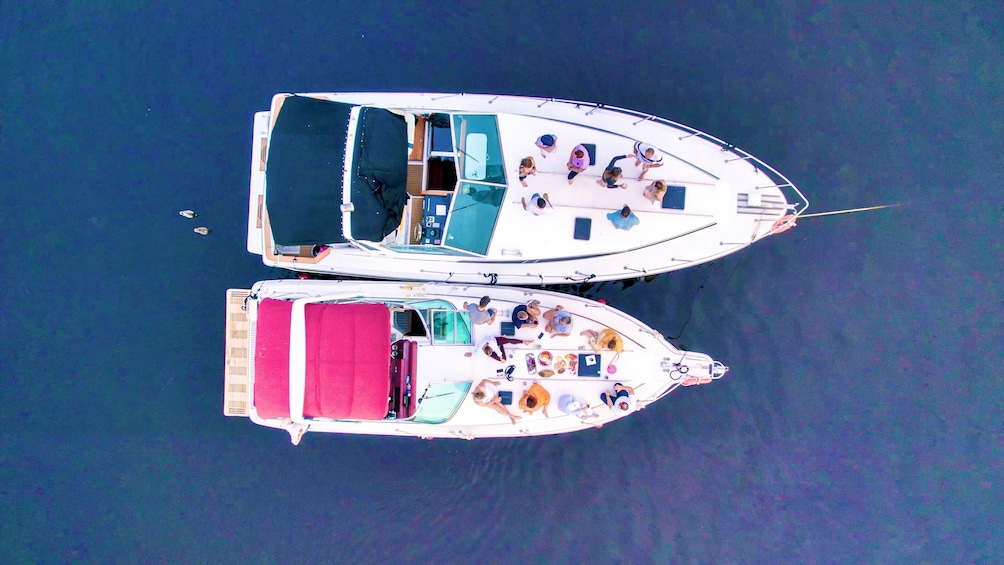 Daily Tours on a Yacht
