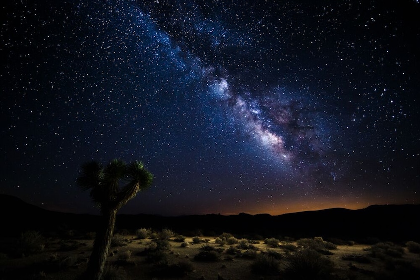 Death Valley Day Tour/ Watch the night sky full of stars 