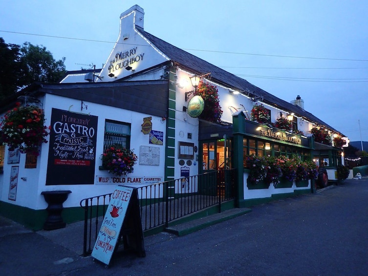 Traditional Irish Night Show