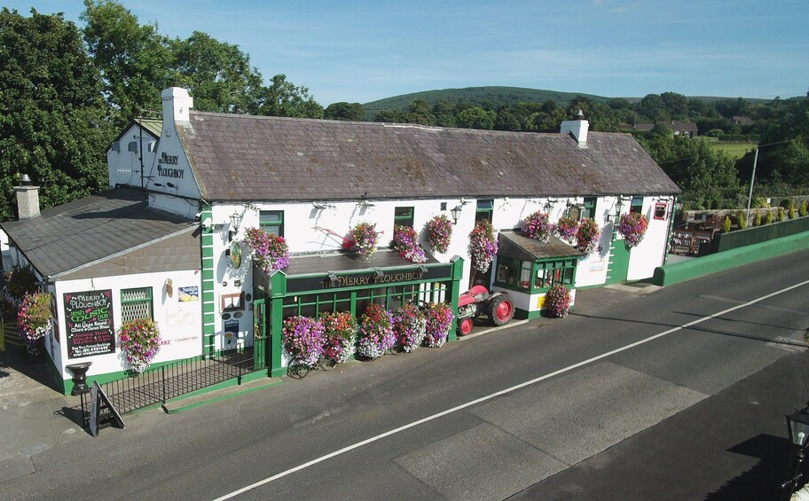 Traditional Irish Night Show