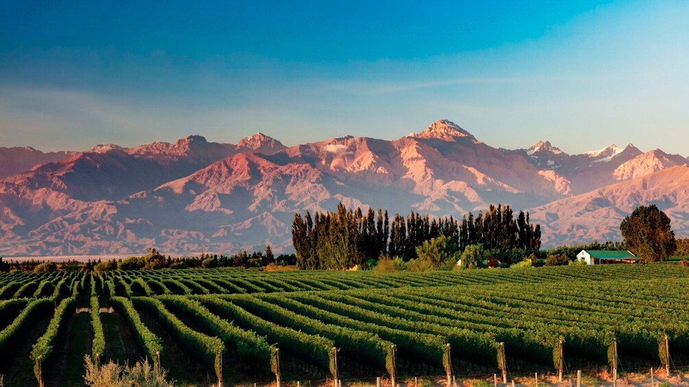 Mendoza: Aconcagua Adventure in Cordillera de los Andes