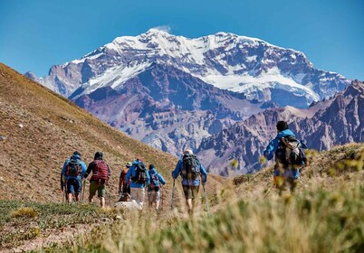 Mendoza: Aconcagua Adventure in Cordillera de los Andes