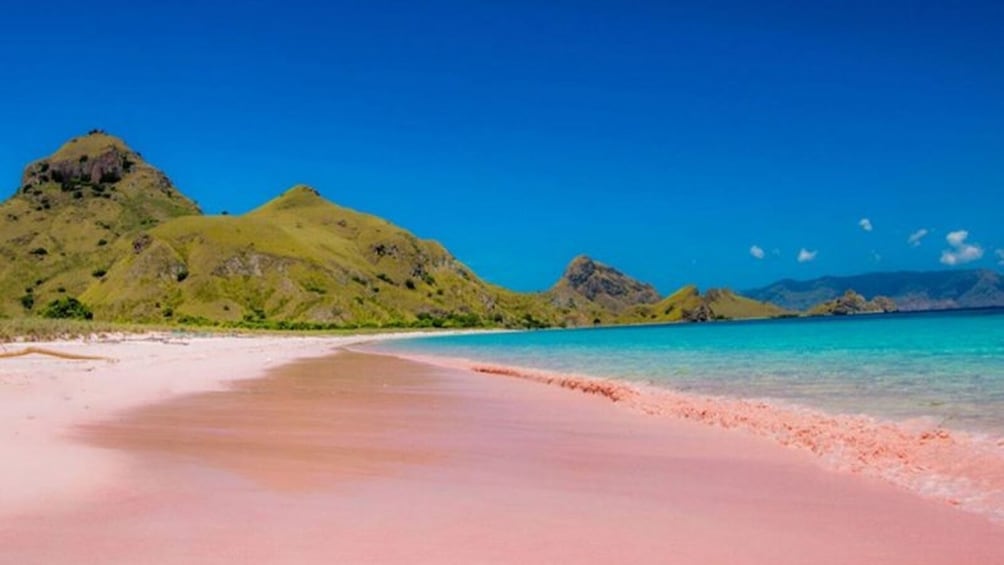 Pink Beach Lombok Snorkeling Tour