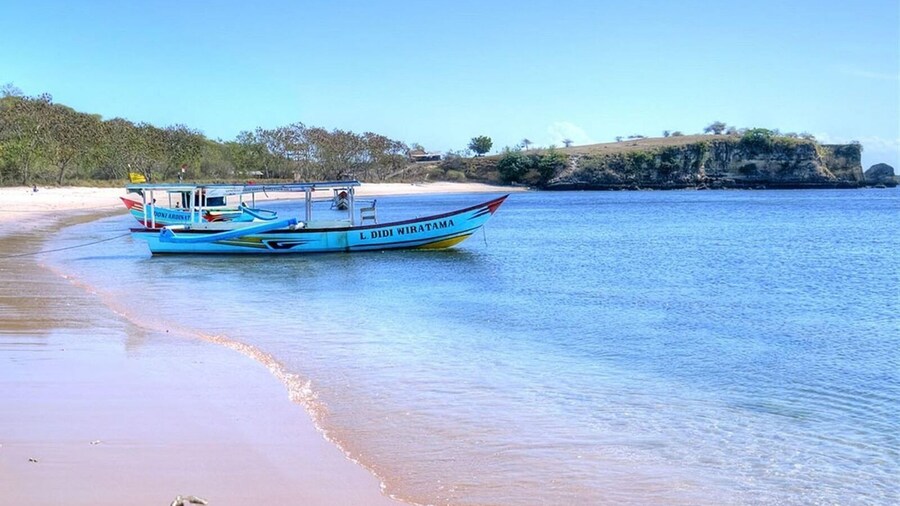 Pink Beach Lombok Snorkeling Tour