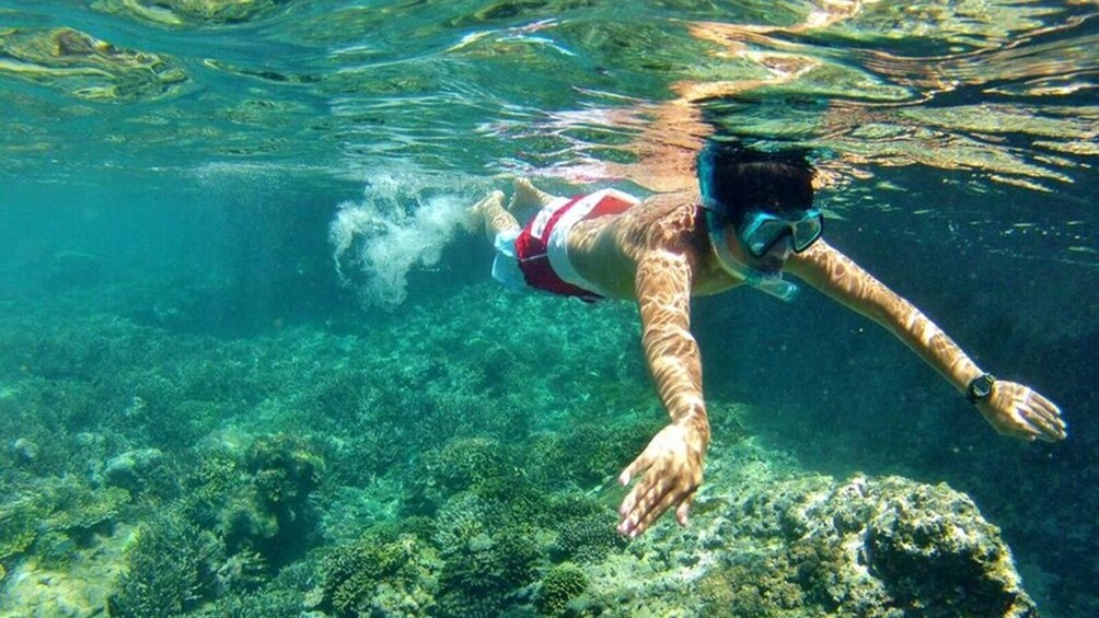 Pink Beach Lombok Snorkeling Tour