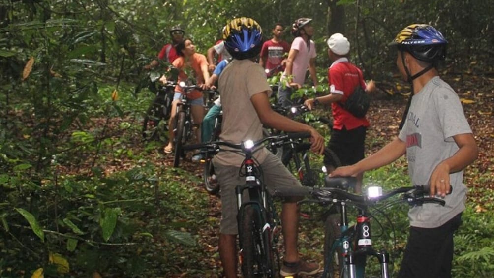 Lombok Cycling through Coffee, Cacao & Mangosteen Plantation