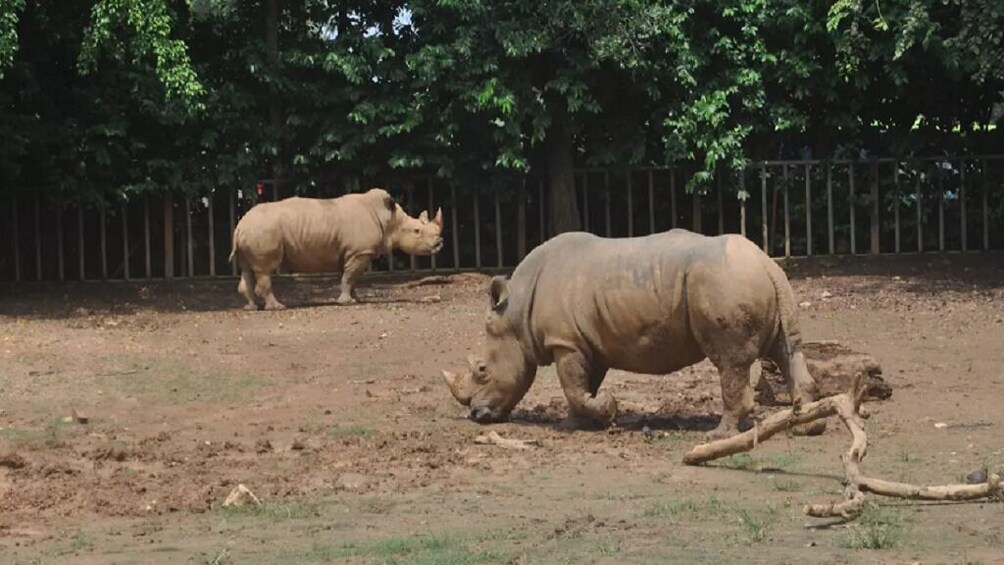 Zoo Melaka