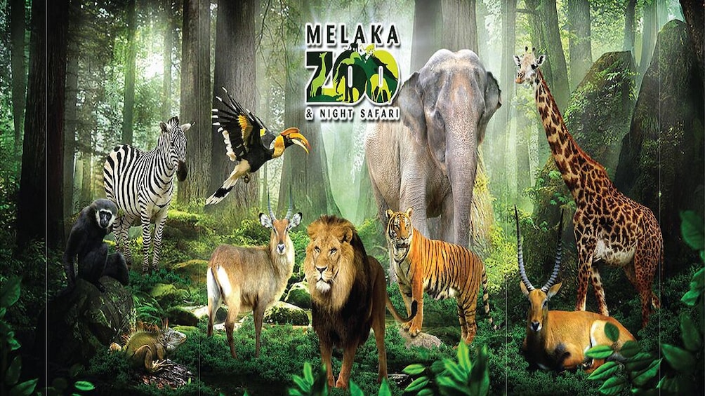 Zoo Melaka