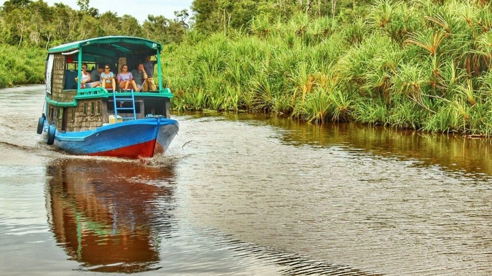 3 Days Tanjung Puting Wooden Boat & Orangutan Tour