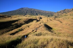 THE HILLS AND RICE TERRACE
