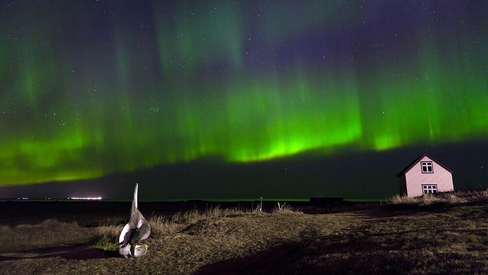 Northern Lights in Reykjavik