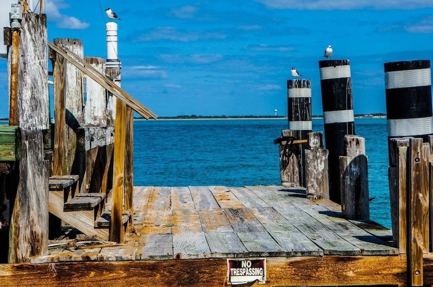 Egmont Key Snorkeling Dolphin Cruise