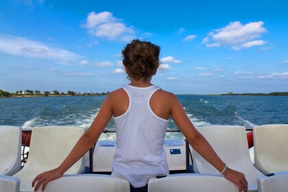 A Day on a Sailboat in the Bay of Palma (Private)
