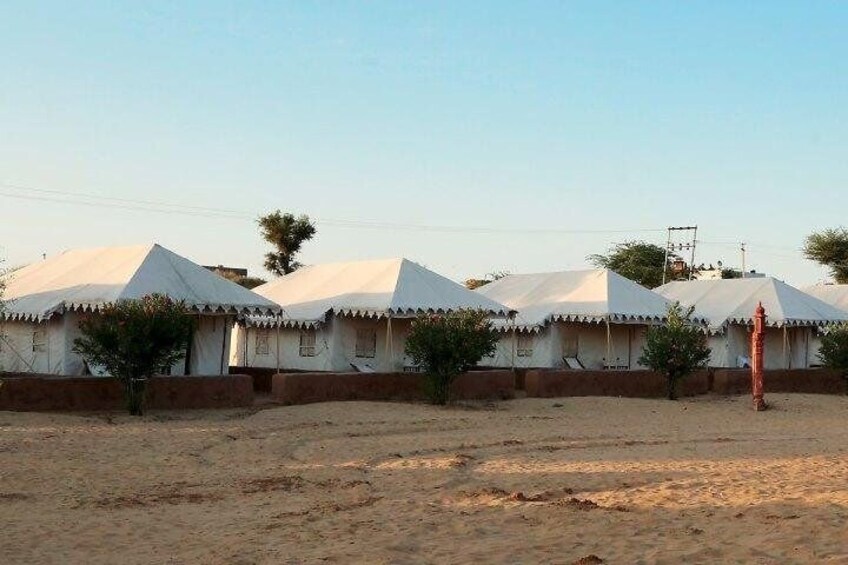 Overnight Camping With Camel Safari In Jodhpur