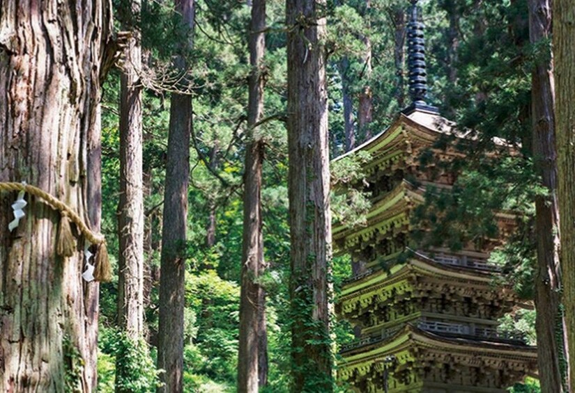Show item 1 of 3. Mt.Yudono Shrine and Shojin Cuisine Lunch