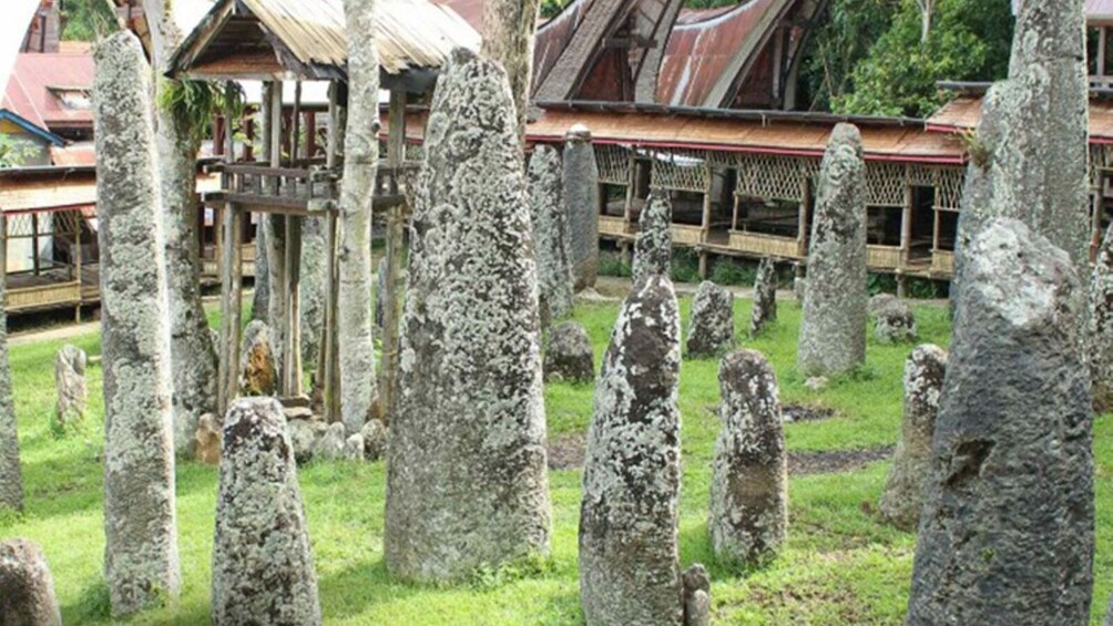 3 Days Tana Toraja Private Tour from Makassar