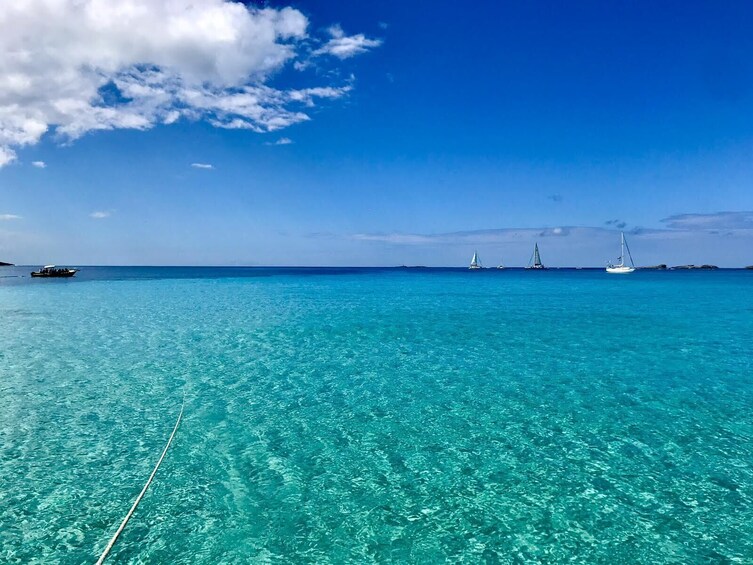 Snorkel Icacos Island aboard The Innovation