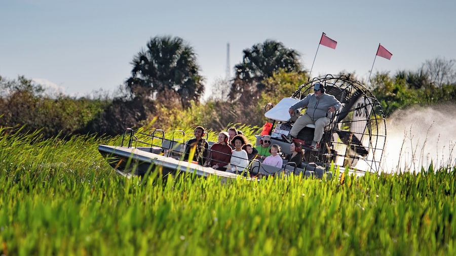 Scenic 30 Minute Airboat Tour