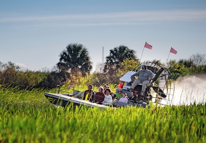 Scenic 30 Minute Airboat Tour