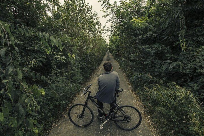 Bangkok’s Hidden Oasis : Explore Bangkok's Green Lung, Bang Krachao by Bike