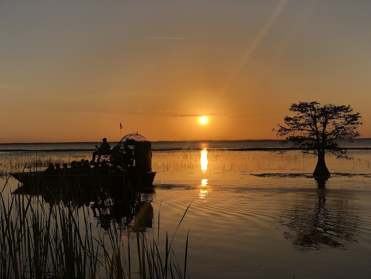 Scenic One Hour Airboat Tour