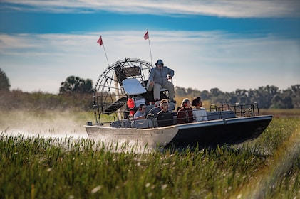 Scenic One Hour Airboat Tour