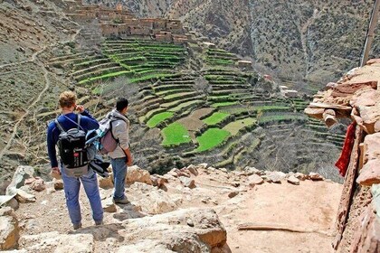 Atlas Mountain Day Trip From Marrakech