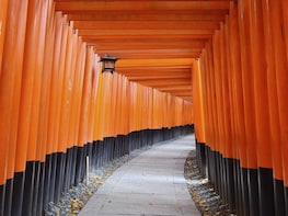 Customise and embark on a Private Half Day Tour in Kansai