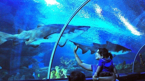 Malaysia: Aquaria KLCC Admission Ticket