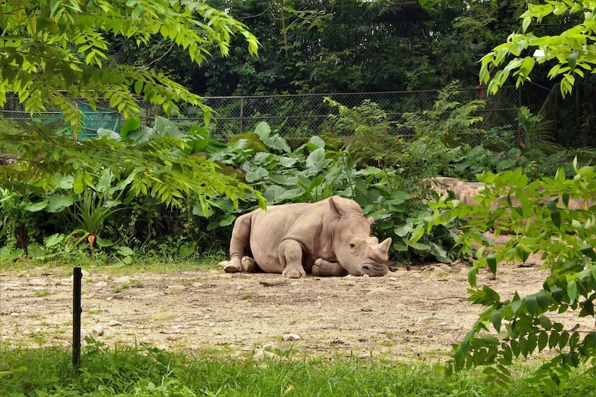 Zoo Negara Admission Ticket