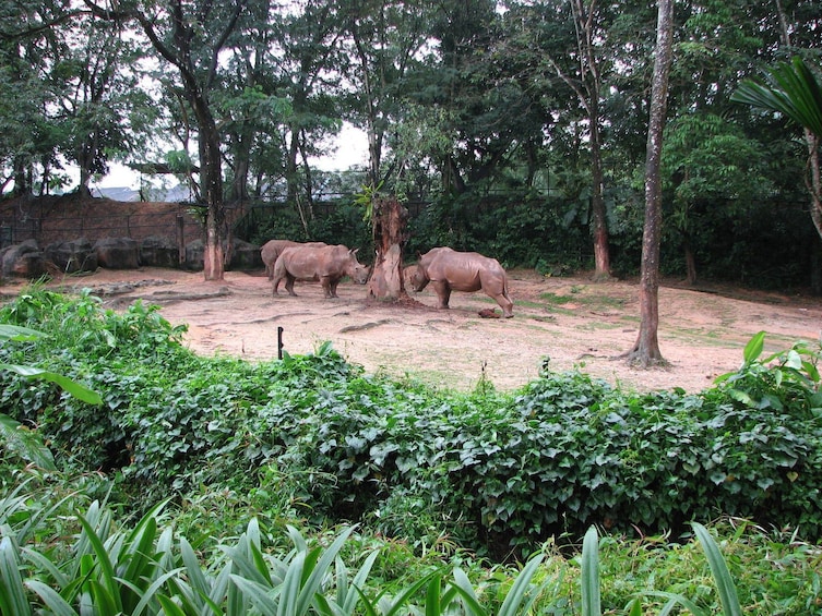 Zoo Negara Admission Ticket