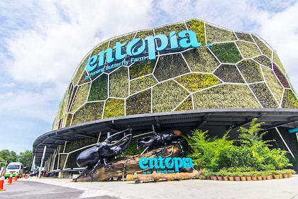 Entopia General Admission Tickets