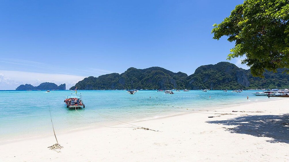Phi Phi 4 Islands Snorkeling Tour from Phuket