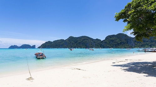 Phi Phi 4 Islands Snorkelling Tour from Phuket 