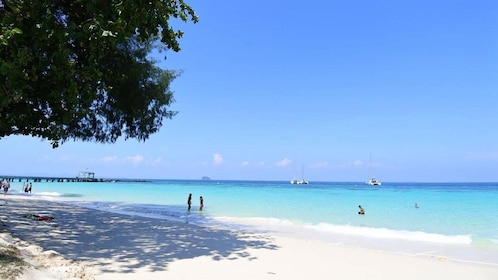 Phi Phi 4 Islands+ Green Island Snorkelling Tour From Phuket