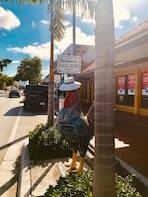 Wonders of Miami City Tour