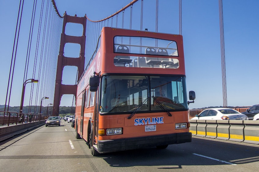 2 Day Hop-On Hop-Off Pass incl. Night Tour.
