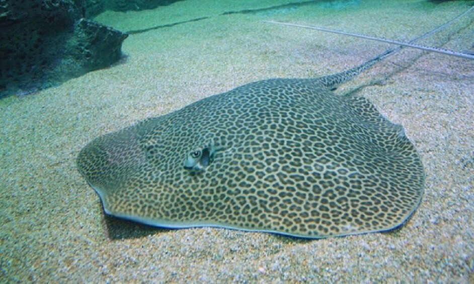 Underwater World Langkawi