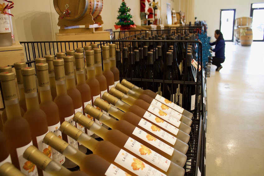 Niagara Winery Tour + Outlet Mall Shopping