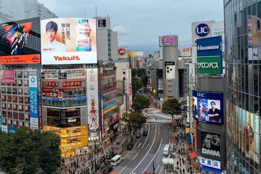 Visit Tokyo's oldest temple with your local guide