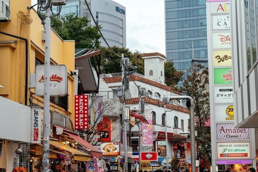 Explore a traditional Japanese shrine in your private tour