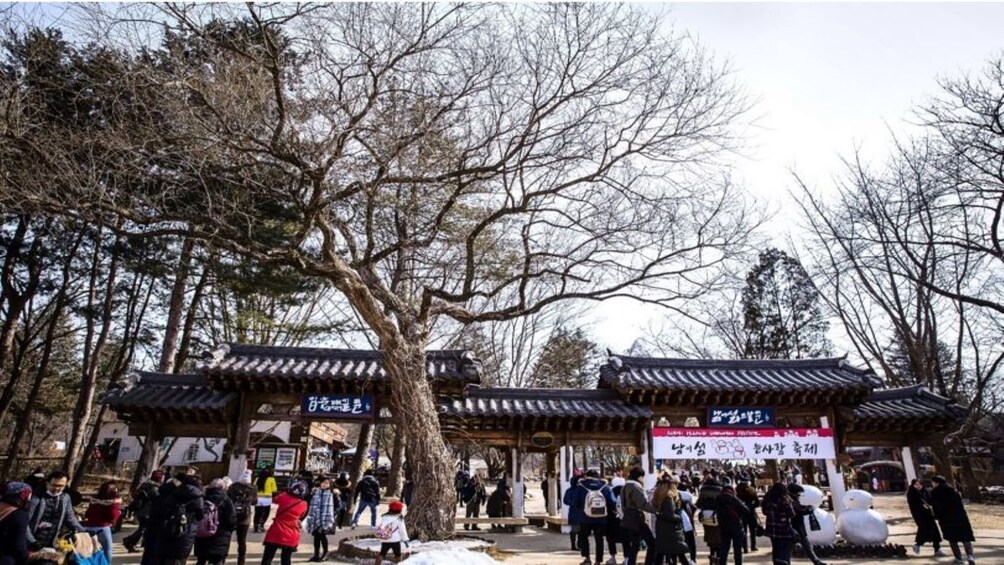 (Gratis meal) Nami Island + Petite France (by SA tour)