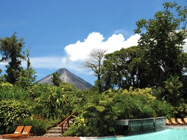 Arenal Volcano & Tabacon Hot Springs From San Jose