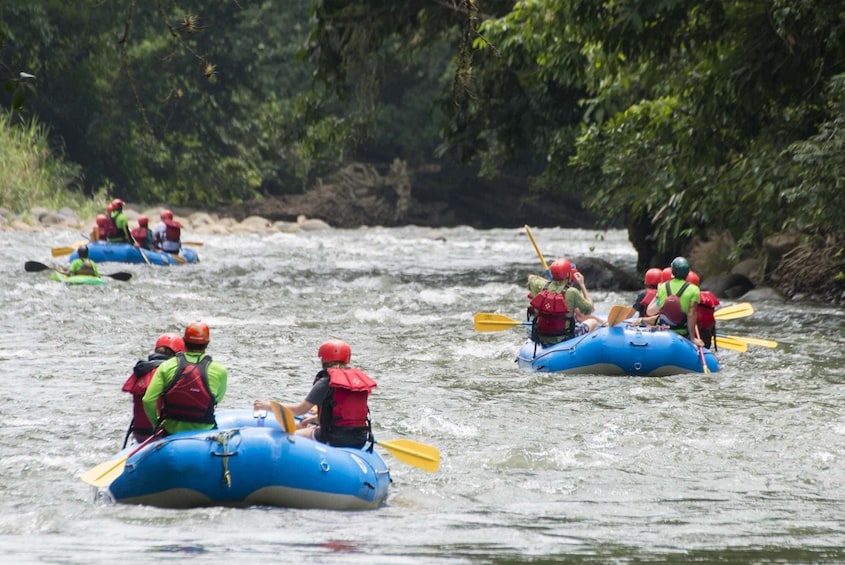 Adventure Combo (Canopy Tour & Rafting) From San Jose